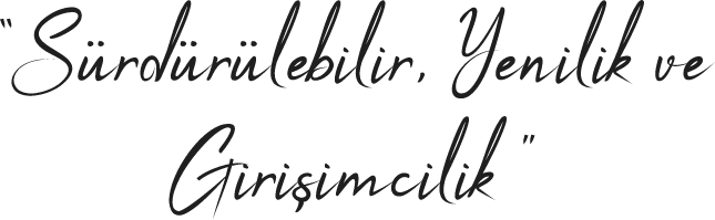 Sürdürülebilir, Yenilik ve Girişimcilik